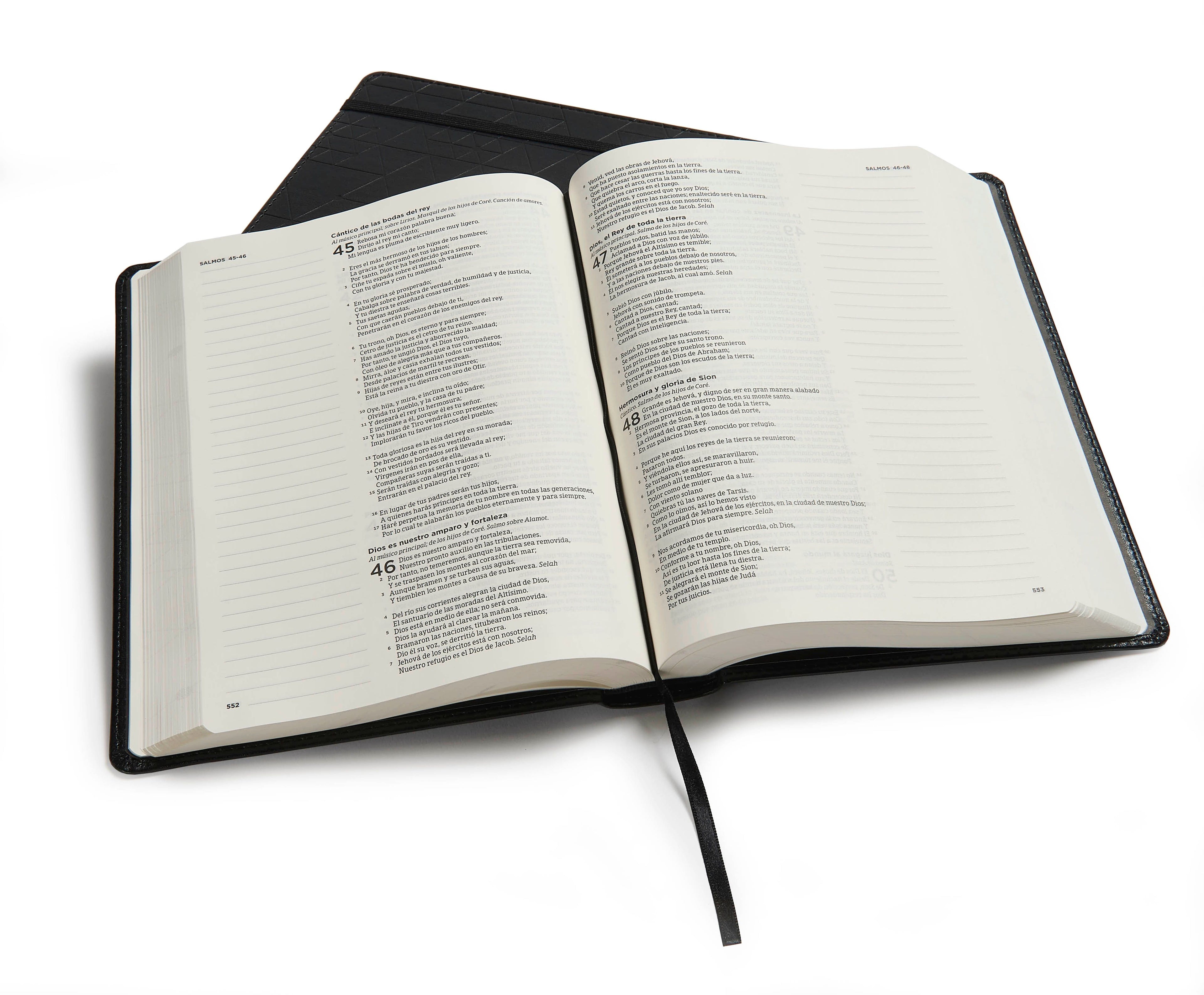 JOURNALING BIBLES